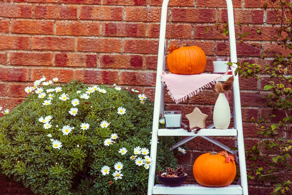Holiday décor safety check header image
